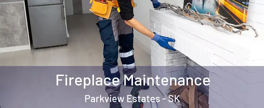  Fireplace Maintenance Parkview Estates - SK