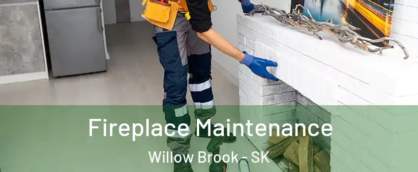  Fireplace Maintenance Willow Brook - SK