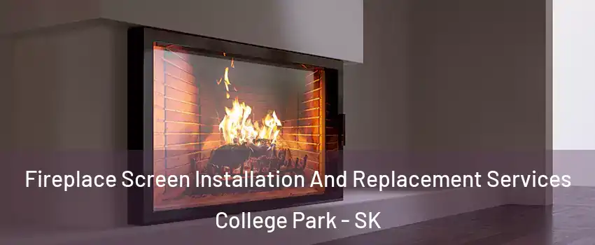 Fireplace Screen Installation And Replacement Services College Park - SK