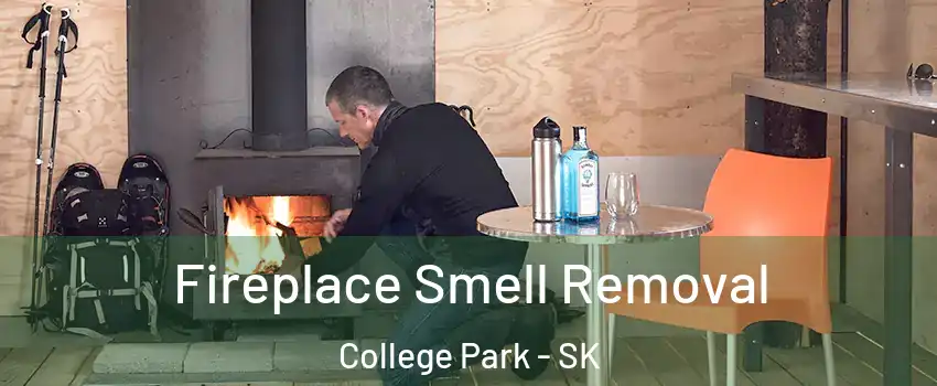  Fireplace Smell Removal College Park - SK