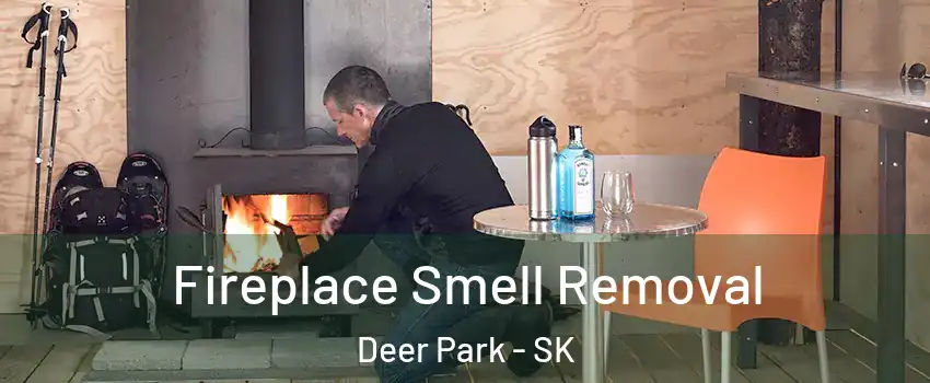  Fireplace Smell Removal Deer Park - SK