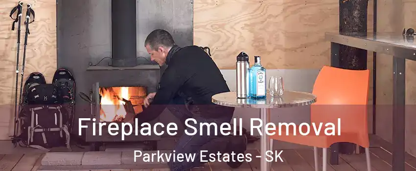  Fireplace Smell Removal Parkview Estates - SK