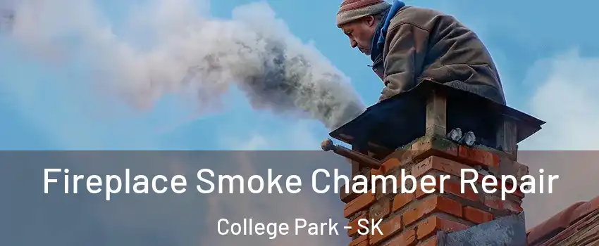  Fireplace Smoke Chamber Repair College Park - SK