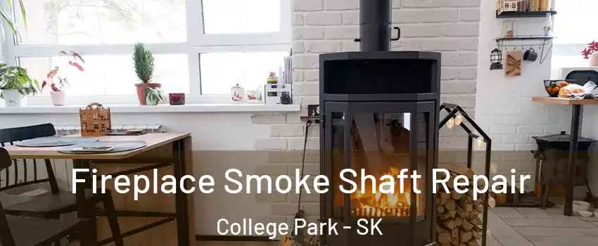  Fireplace Smoke Shaft Repair College Park - SK