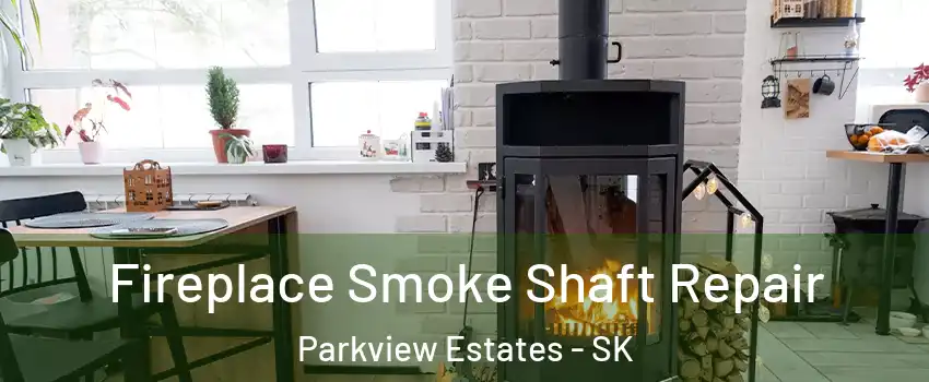  Fireplace Smoke Shaft Repair Parkview Estates - SK