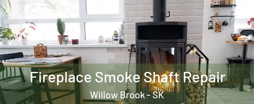  Fireplace Smoke Shaft Repair Willow Brook - SK