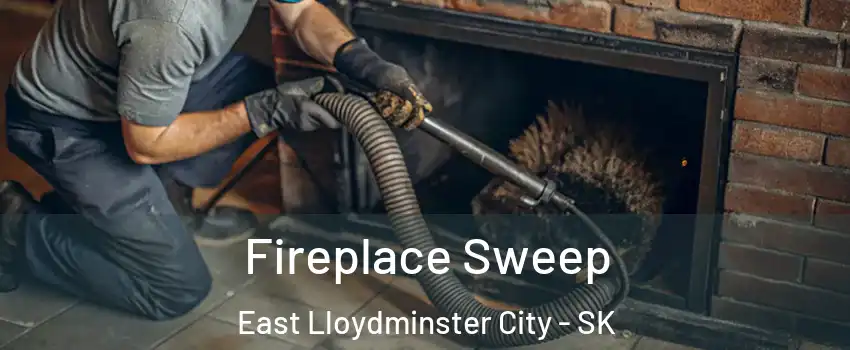  Fireplace Sweep East Lloydminster City - SK