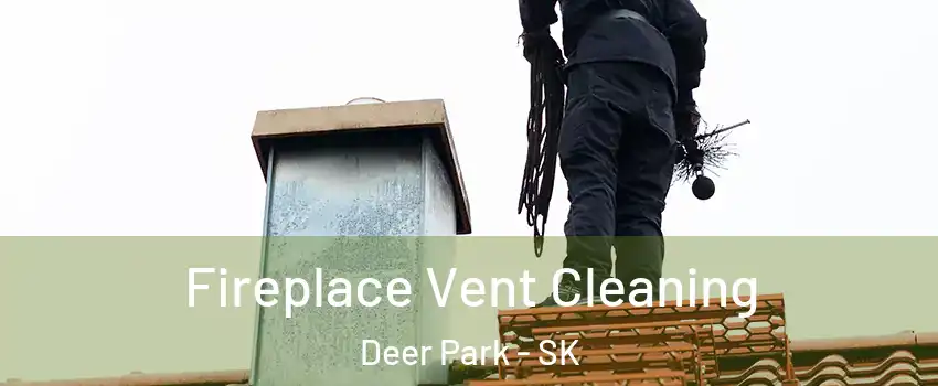  Fireplace Vent Cleaning Deer Park - SK