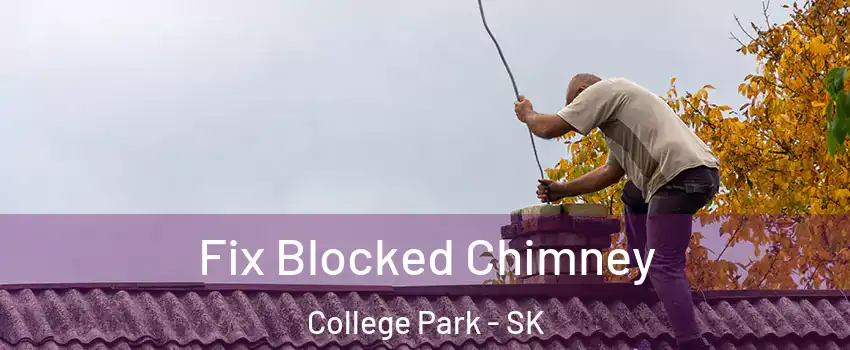  Fix Blocked Chimney College Park - SK
