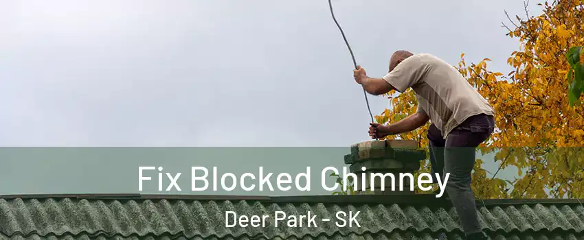  Fix Blocked Chimney Deer Park - SK