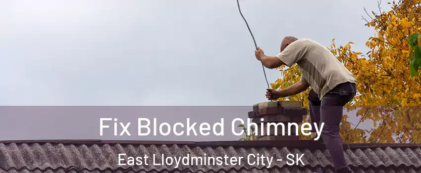  Fix Blocked Chimney East Lloydminster City - SK