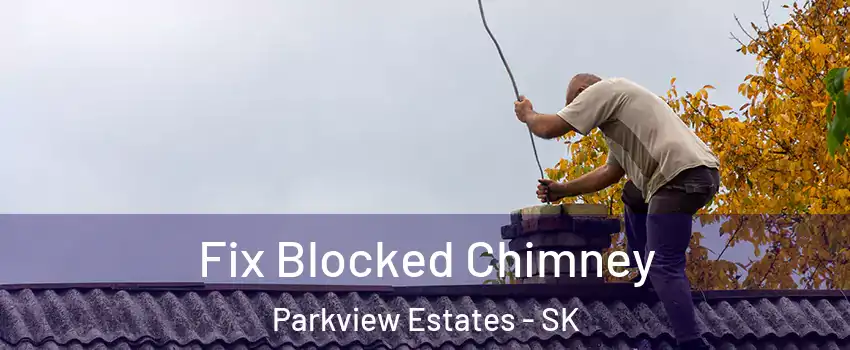  Fix Blocked Chimney Parkview Estates - SK