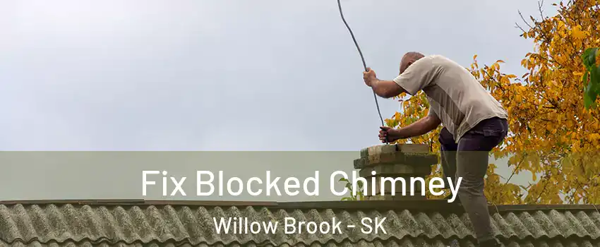  Fix Blocked Chimney Willow Brook - SK
