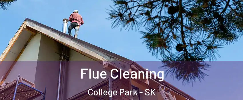  Flue Cleaning College Park - SK