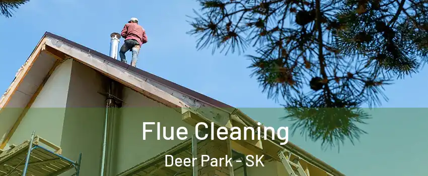  Flue Cleaning Deer Park - SK