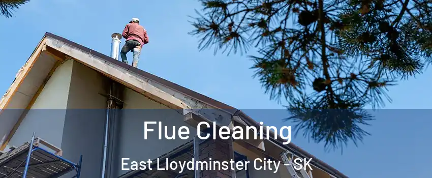  Flue Cleaning East Lloydminster City - SK
