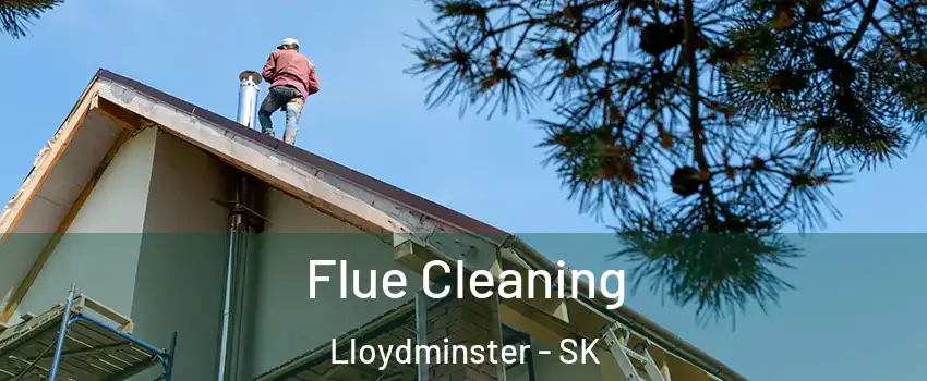  Flue Cleaning Lloydminster - SK