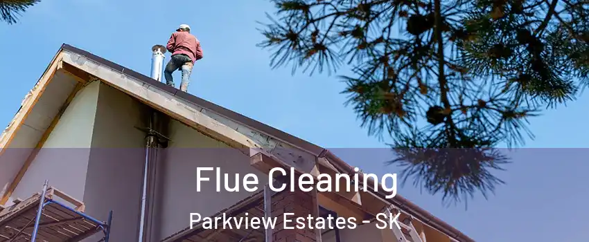  Flue Cleaning Parkview Estates - SK