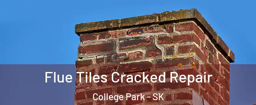  Flue Tiles Cracked Repair College Park - SK