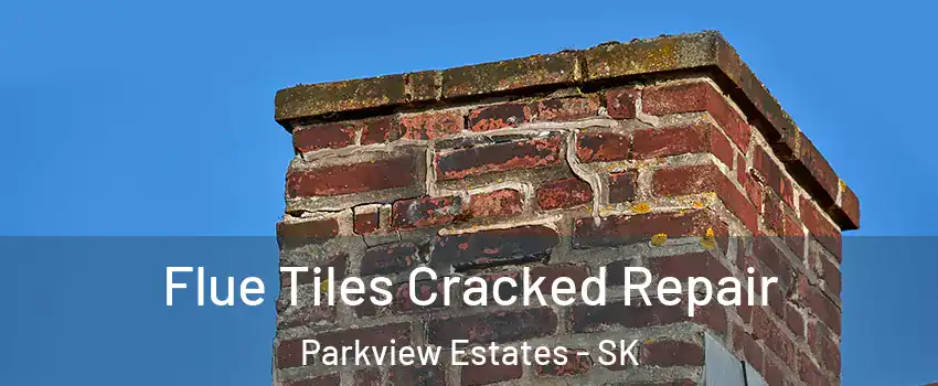  Flue Tiles Cracked Repair Parkview Estates - SK