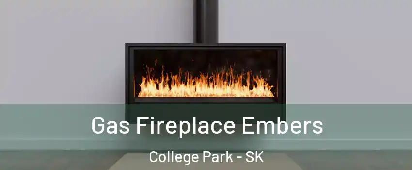  Gas Fireplace Embers College Park - SK