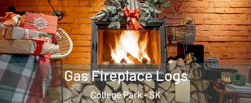  Gas Fireplace Logs College Park - SK