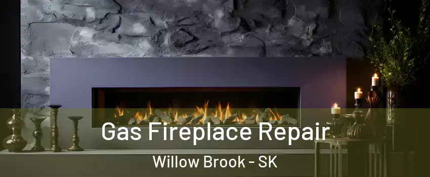  Gas Fireplace Repair Willow Brook - SK