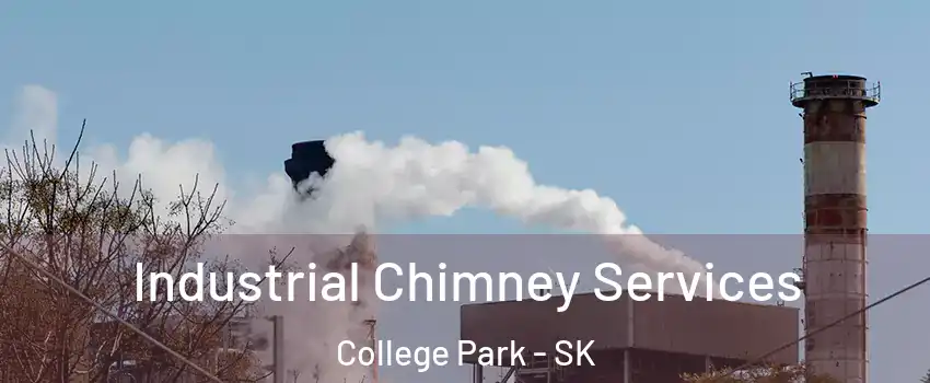  Industrial Chimney Services College Park - SK