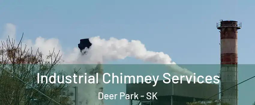  Industrial Chimney Services Deer Park - SK