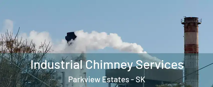  Industrial Chimney Services Parkview Estates - SK