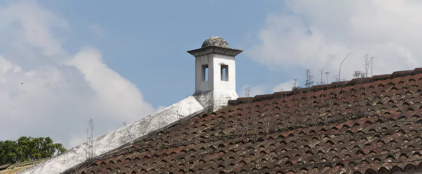 Wind-Resistant Chimney Caps Installation and Repair Services in Parkview Estates, Saskatchewan