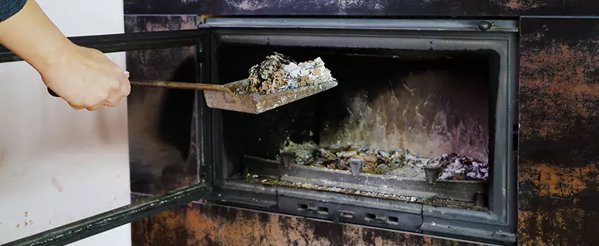 Wood Burning Chimney Odor Removal in Stewart Crescent, Saskatchewan