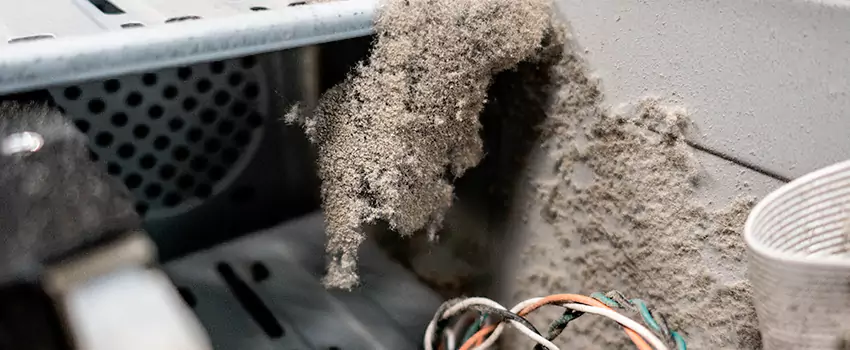 Clogged Dryer Vent Lint Cleaning in Parkview Estates, Saskatchewan