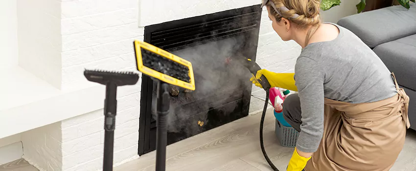 Fireplace Doors Cleaning in Deer Park, Saskatchewan