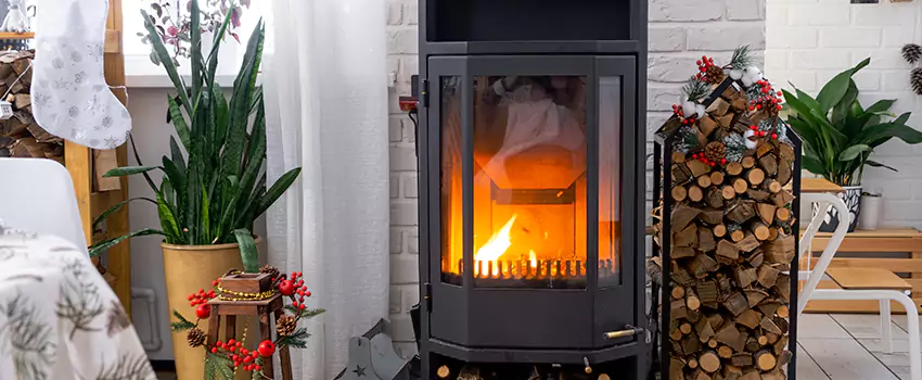 Thelin Hearth Products Direct Vent Gas Stove Fireplace Inspection in Deer Park, SK