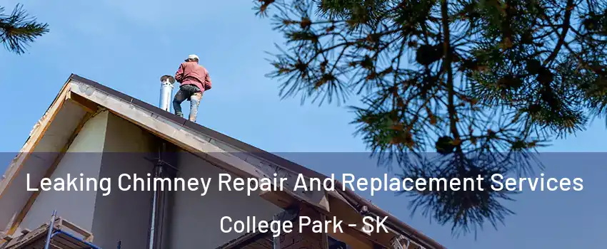  Leaking Chimney Repair And Replacement Services College Park - SK