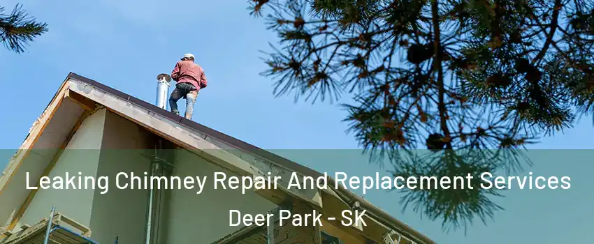  Leaking Chimney Repair And Replacement Services Deer Park - SK