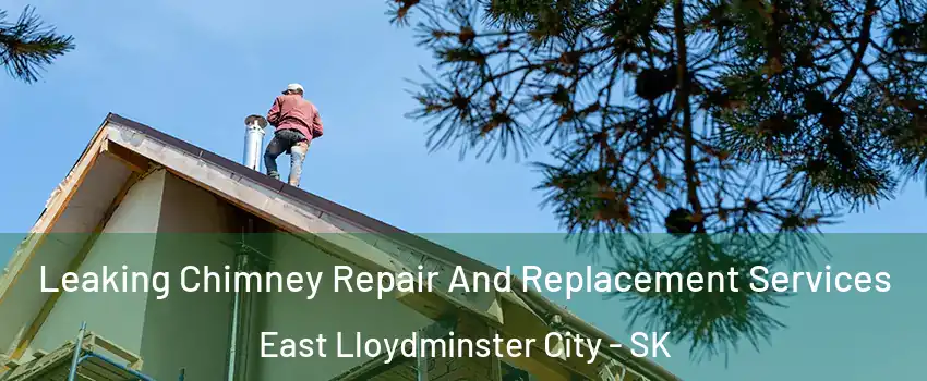  Leaking Chimney Repair And Replacement Services East Lloydminster City - SK