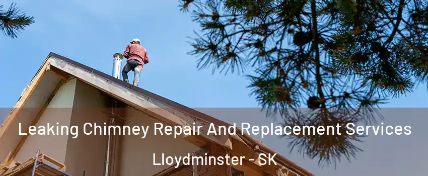  Leaking Chimney Repair And Replacement Services Lloydminster - SK
