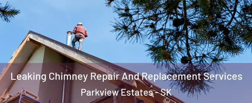  Leaking Chimney Repair And Replacement Services Parkview Estates - SK