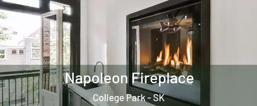  Napoleon Fireplace College Park - SK