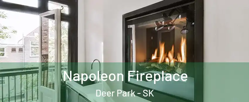  Napoleon Fireplace Deer Park - SK