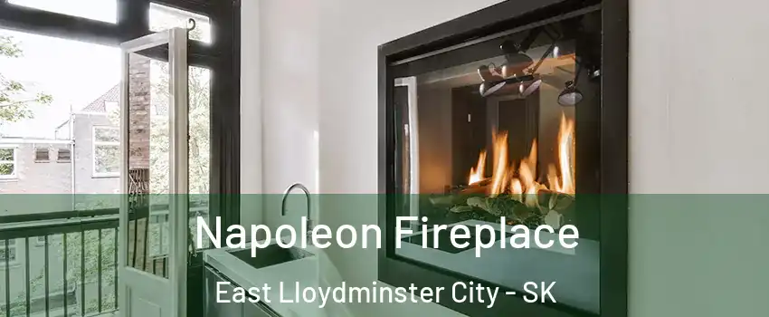  Napoleon Fireplace East Lloydminster City - SK