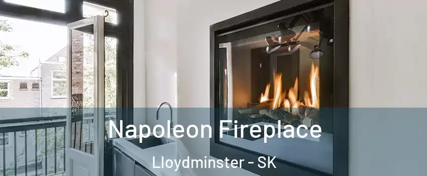  Napoleon Fireplace Lloydminster - SK