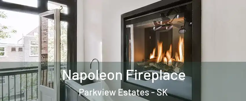  Napoleon Fireplace Parkview Estates - SK