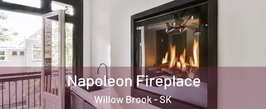  Napoleon Fireplace Willow Brook - SK