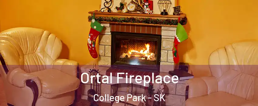  Ortal Fireplace College Park - SK