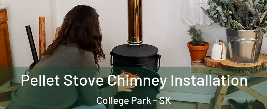  Pellet Stove Chimney Installation College Park - SK