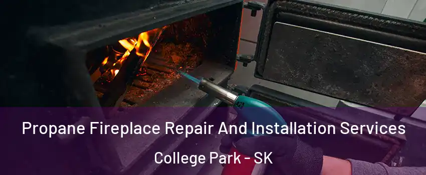 Propane Fireplace Repair And Installation Services College Park - SK