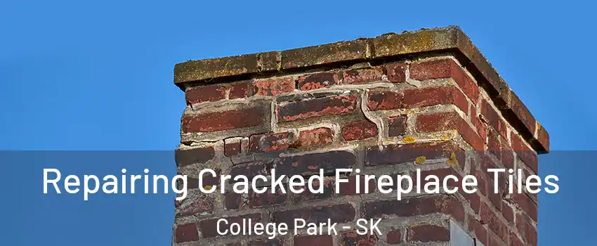  Repairing Cracked Fireplace Tiles College Park - SK